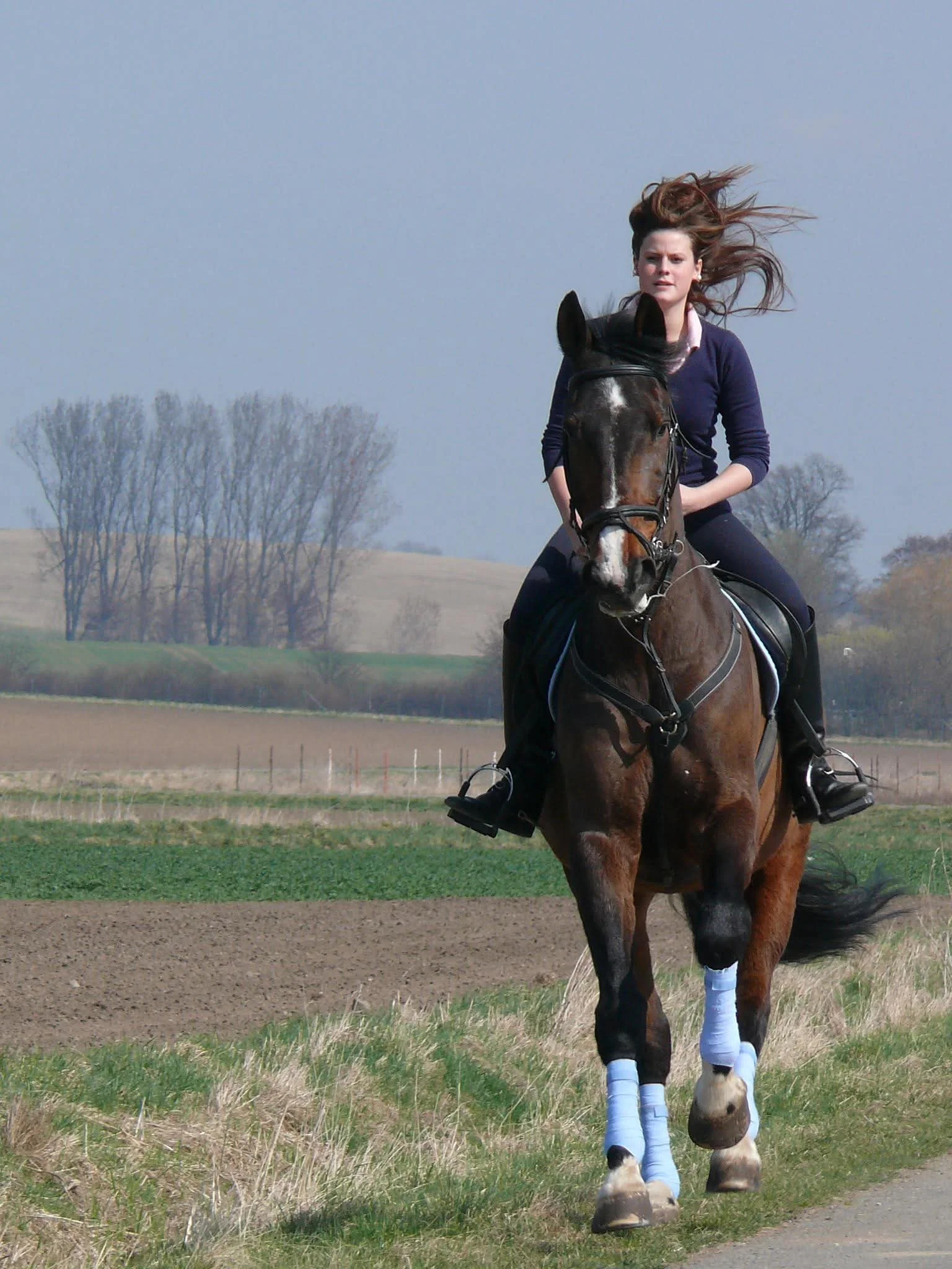 Excelsior – Vanessas Pferd, das unvergessliche E